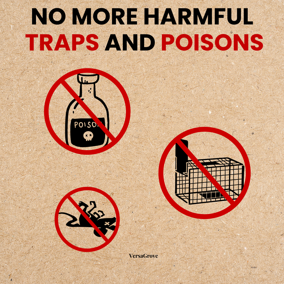 Rat Repellent Spray 50ml (Pack of 3) - 45% OFF