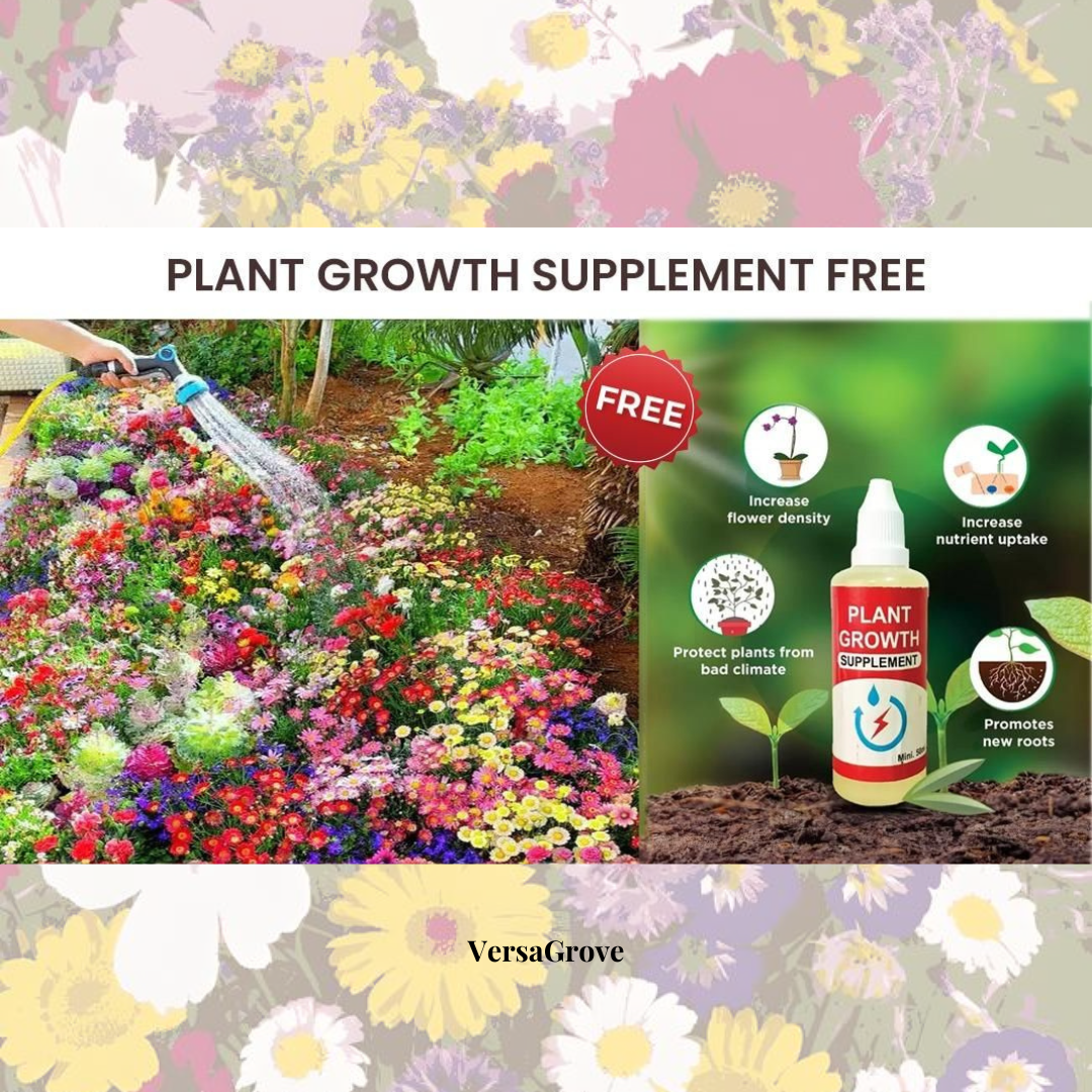 BloomBurst™ - 100 Vibrant Flower Seeds