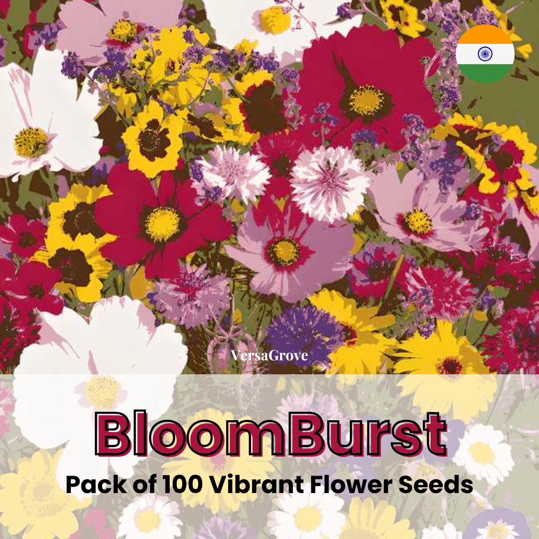 BloomBurst™ - 100 Vibrant Flower Seeds